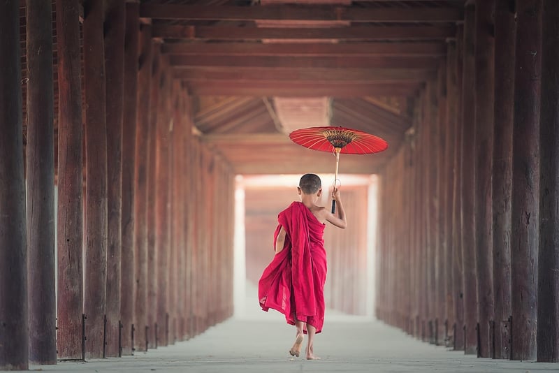 Tai Chi in nature